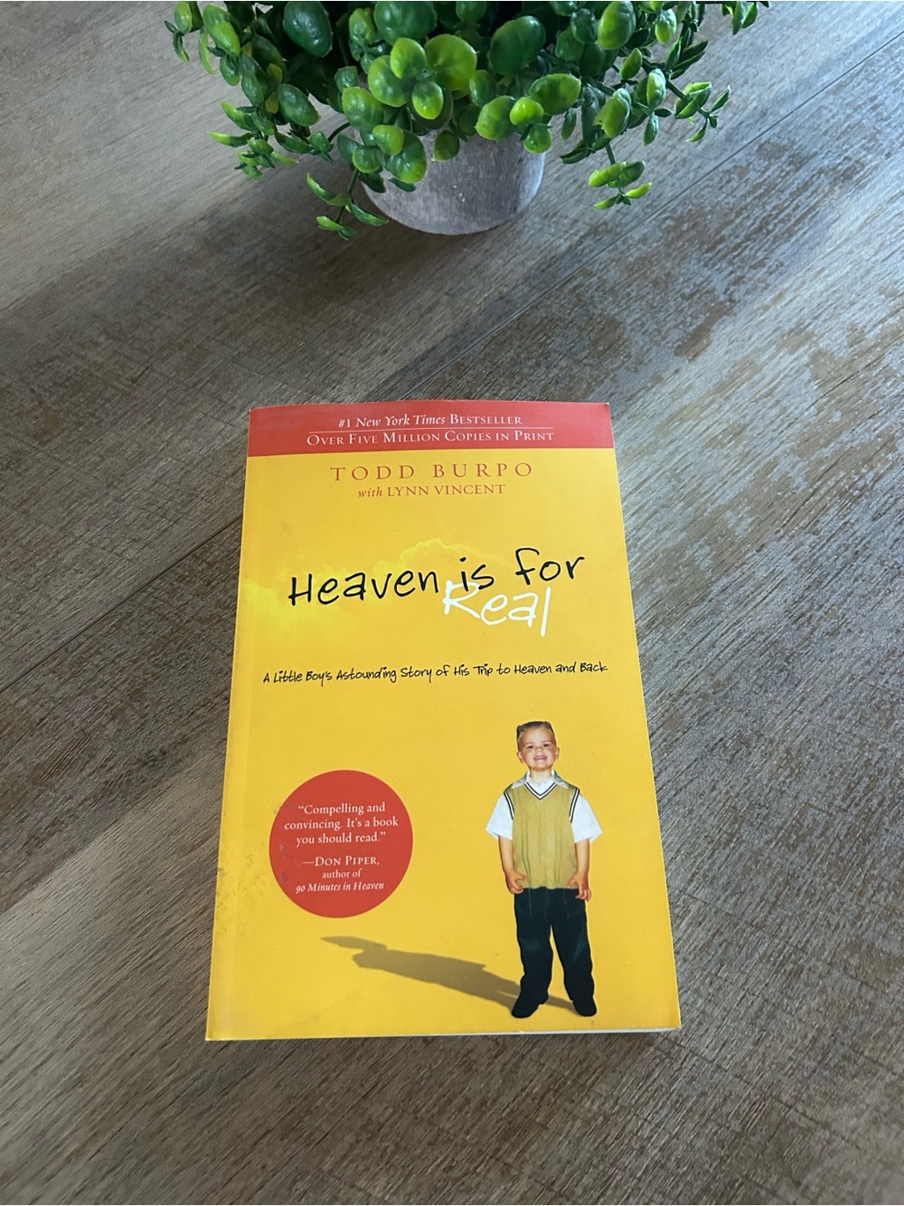 Todd Burpo book Heaven Is For Real